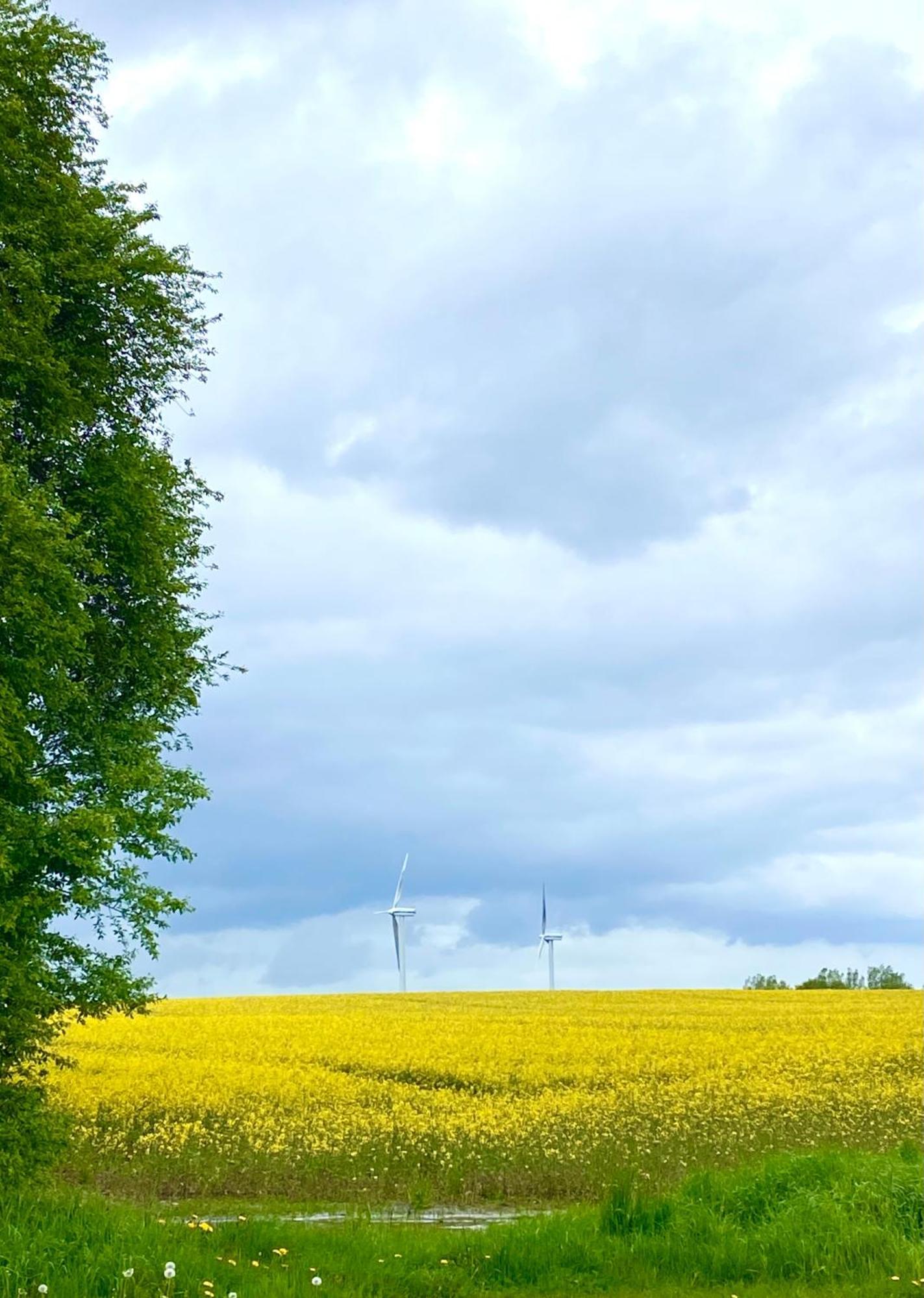 Ferienhaus Bei Engel Ahrensbok Exteriör bild